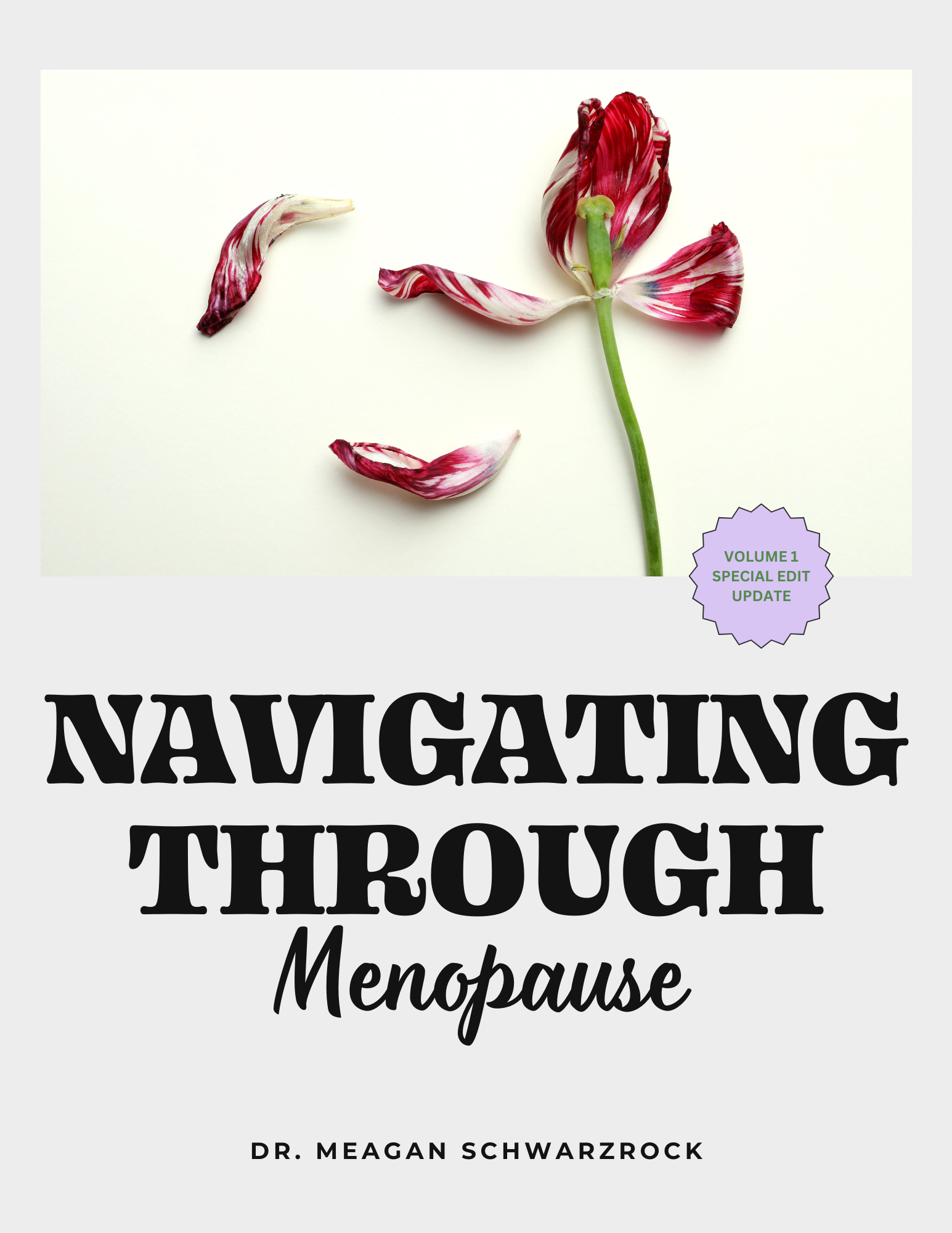 Navigating Menopause guide cover