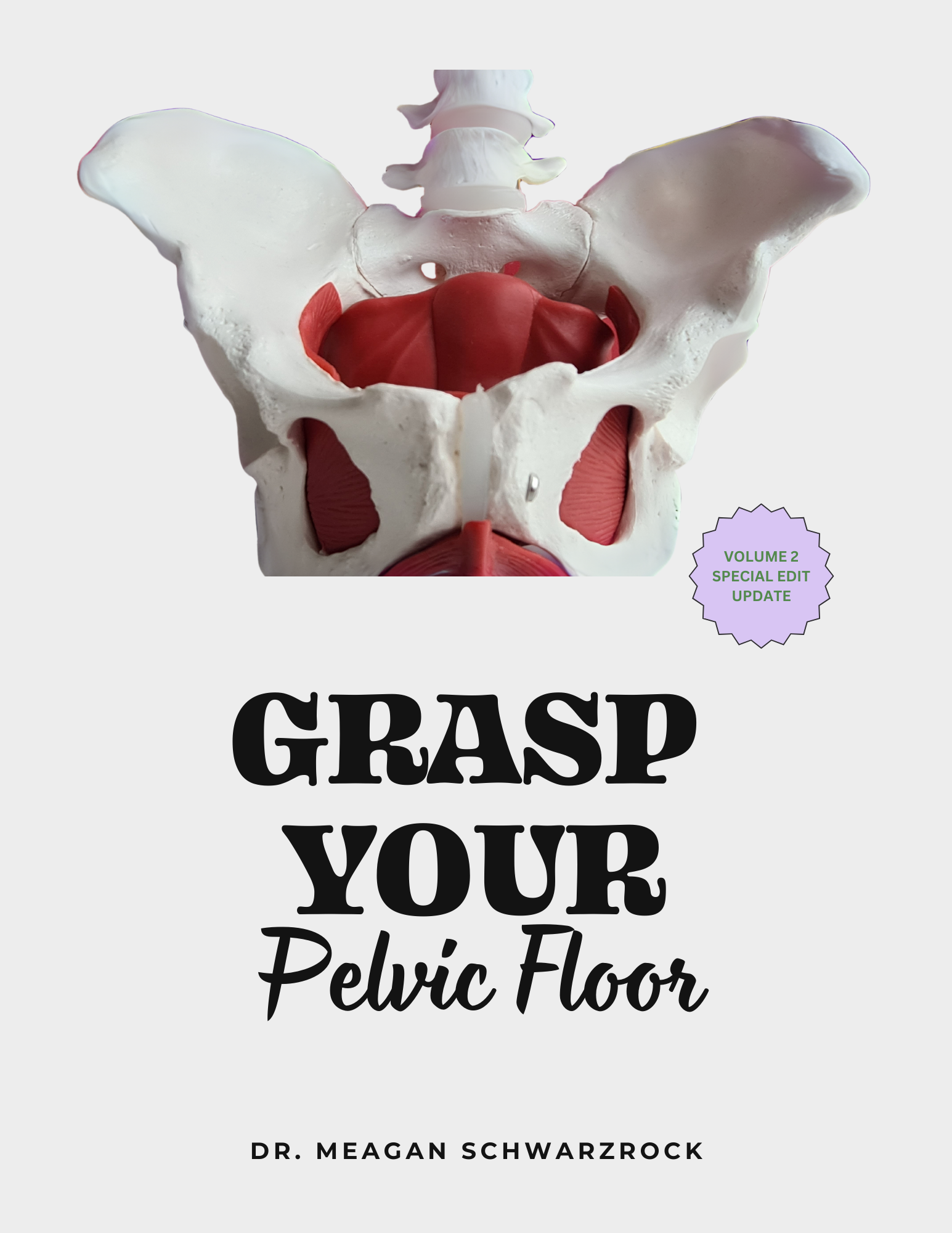 Understanding Your Pelvic Floor guide cover